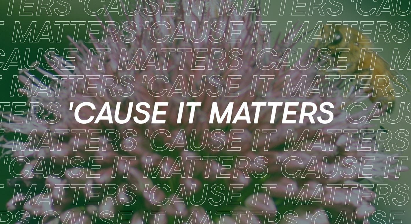 Cause It Matters Thumbnail