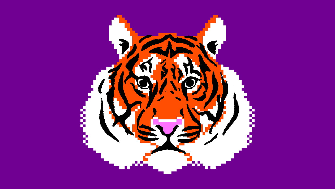 tiger